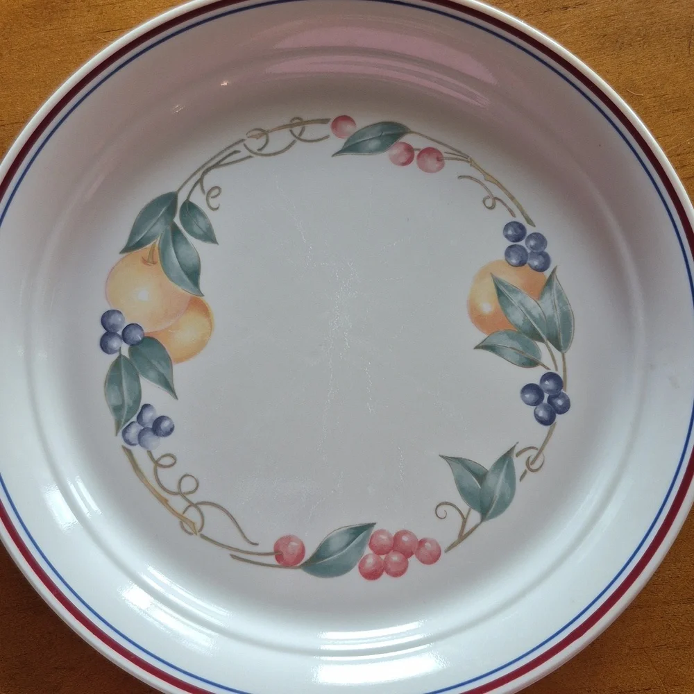 Corelle Set Of 2 Abundance Dinner Plate with Red and Blue Accents
